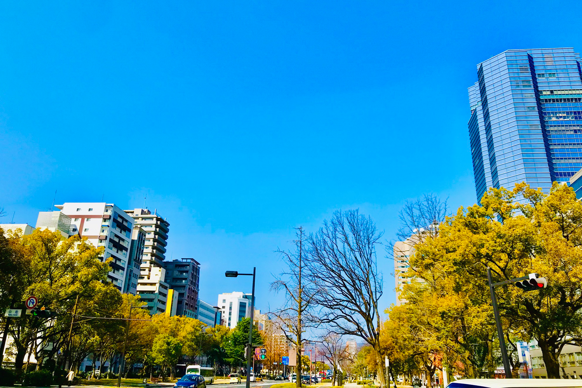 広島市平和通り